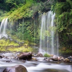 Meet your Posher, Chivas